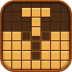 Wood Block Puzzle Brain Game.png