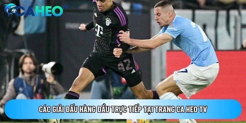 Caheotvttbd.org Trang Truc Tiep Cac Tran Bong Chat Luong Cao 3