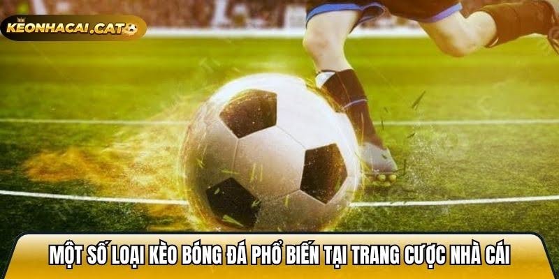 Keonhacai.cat Web Keo Nha Cai Cung Cap Keo Chuan Xac 98 3