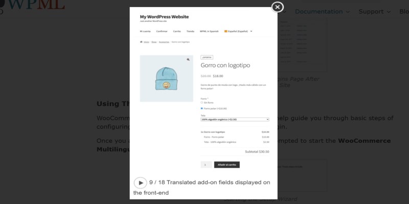 translated add-on fields displayed on the front end