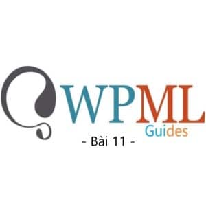 Hướng dẫn cấu hình WPML (Bài 11)