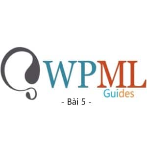 wpml guide bai 5