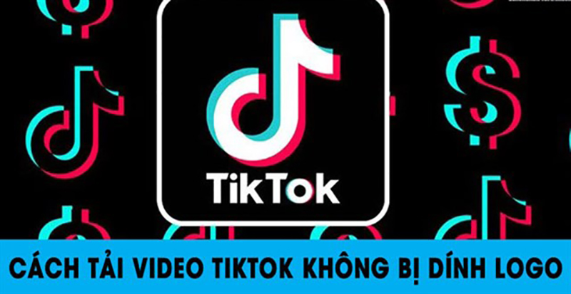 Cách tải video TikTok không logo bản quyền