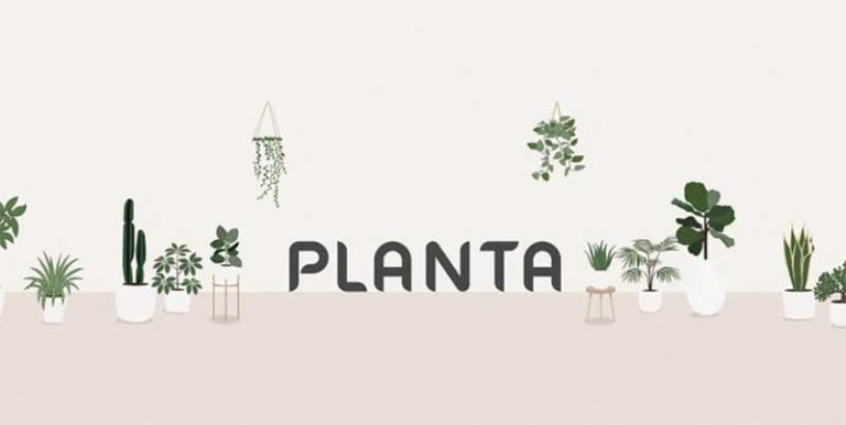 Tải Planta Apk – Trợ lý ảo phân tích, hướng dẫn chăm sóc cây