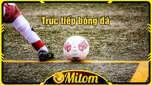 Mitom TV - Thiên đường bóng đá cho mọi nhà!