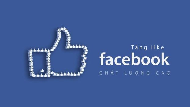 Dịch vụ tăng like Facebook uy tín tại Like5s.VN