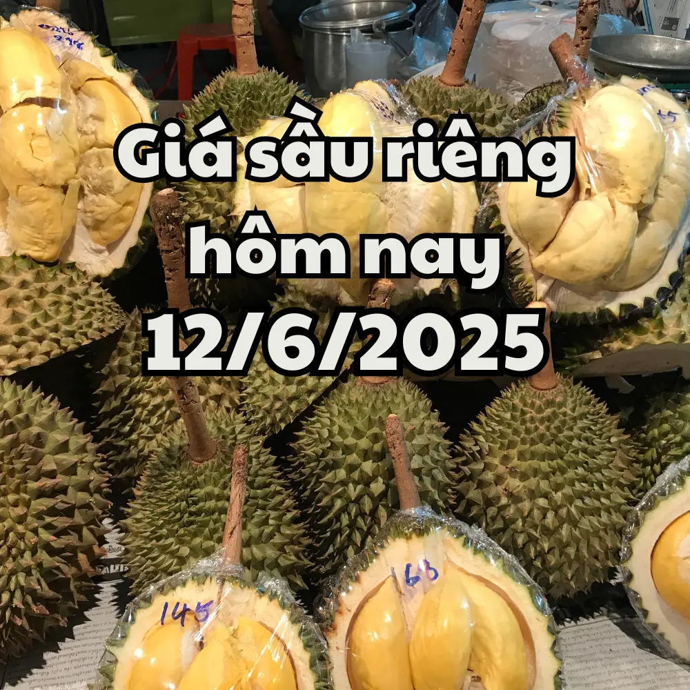 sầu riêng