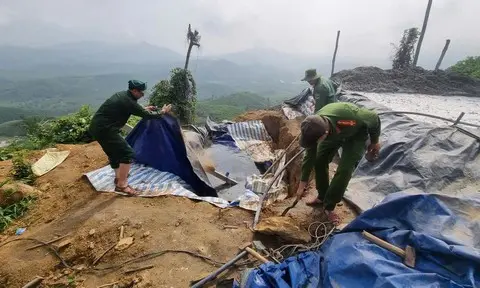bảo vệ rừng
