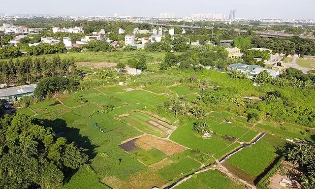 Phát triển đô thị