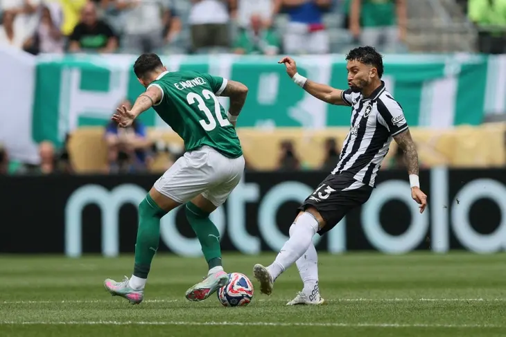 Palmeiras Celebration