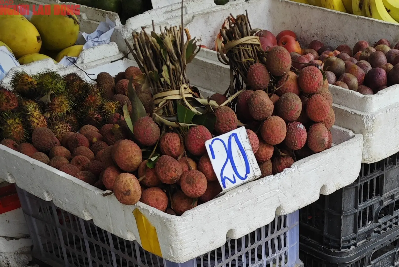 vải thiều giá rẻ