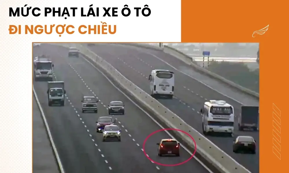 Xe vi phạm