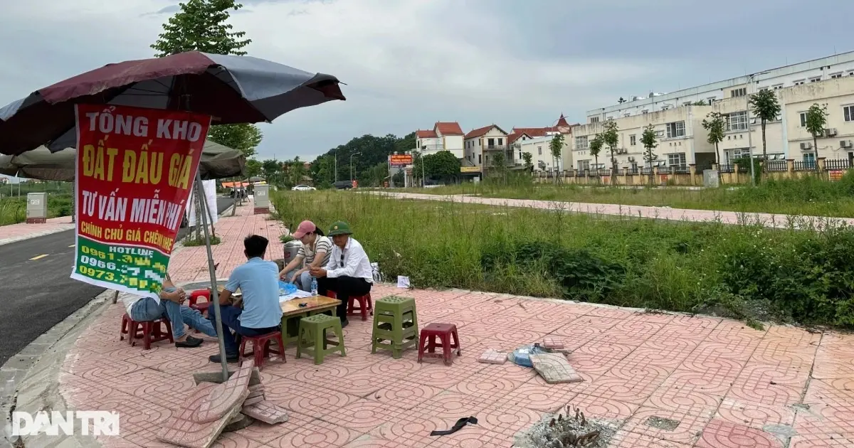 Đấu giá đất