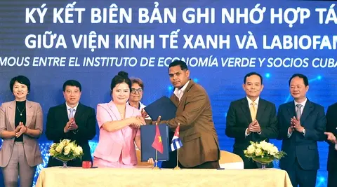 Hình ảnh minh họa