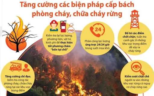 người dân tham gia chữa cháy