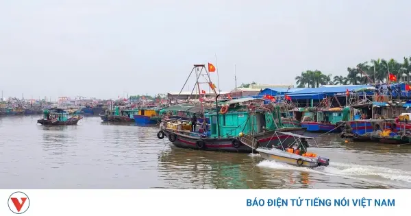 6gzu0v 20 7 hai phong cam bien 20250720194112