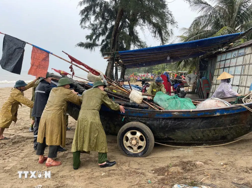 7nzrti ngu dan sam son thanh hoa bao so 3