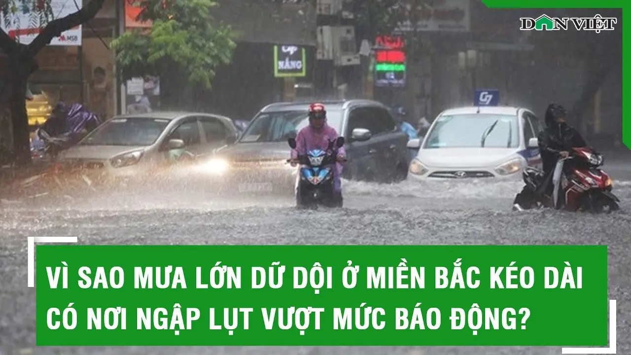 Dự báo mưa lớn