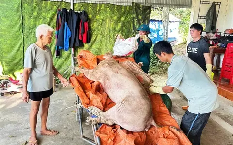906ip1 3dich ta heo chau phi nghe andoan hoa 1752911590020919446635 41 0 1273 1971 crop 175291215750553527670
