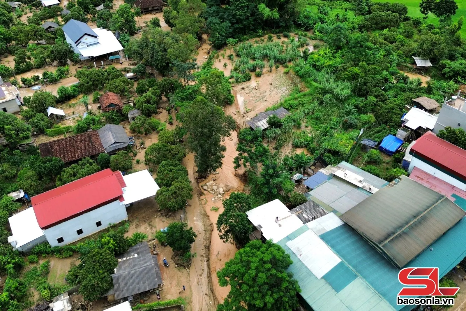 9goefi dji fly 20250727 112008 181 1753619717223 photo optimized