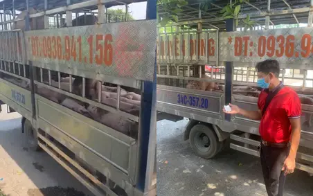 b9lpey toan canh covid 19 quay lai tai chau a 17521440442111213198506