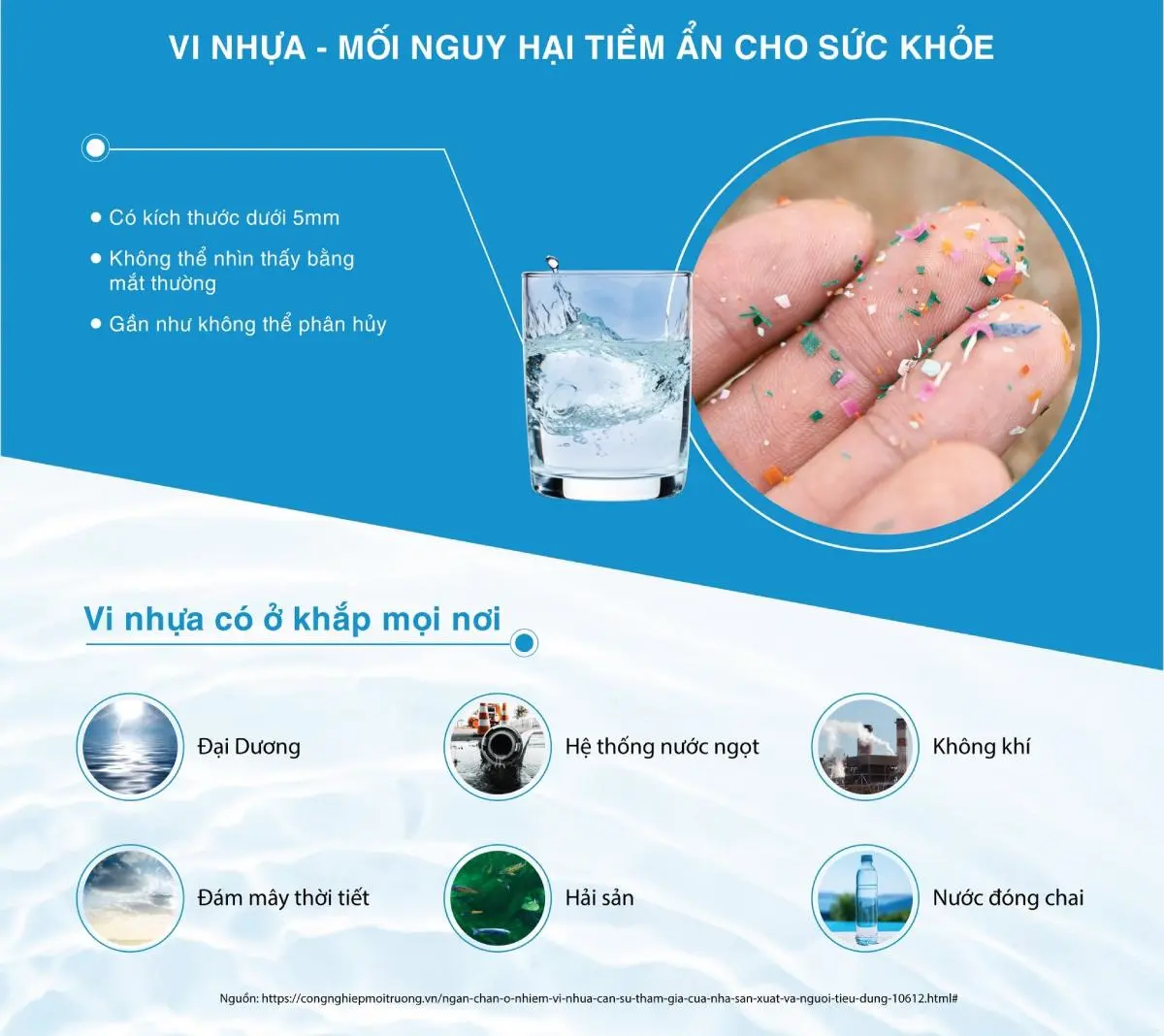 ciz53j_vi-nhua-kich-thuoc-ton-tai-o-dau.webp