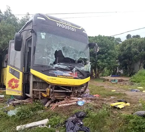 d1tpy1 d9352c146c68e536bc79 1753404692228141854944