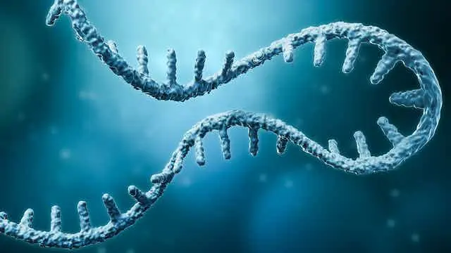 d7zbca RNA