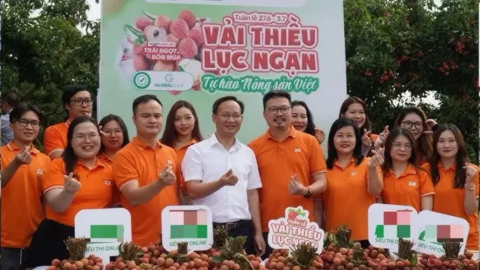 Vải thiều Lục Ngạn