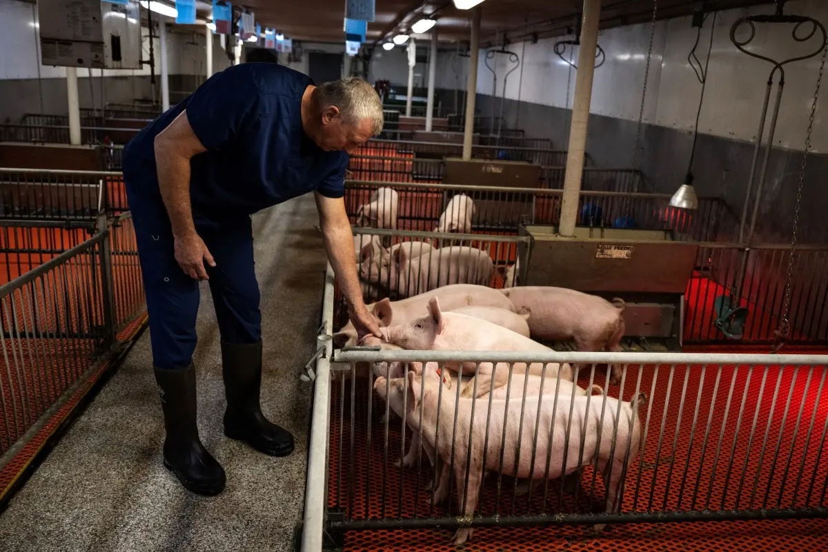 fa8e3l afp 20241217 36n27gq v2 preview usanimalscience 78536621198467837290424
