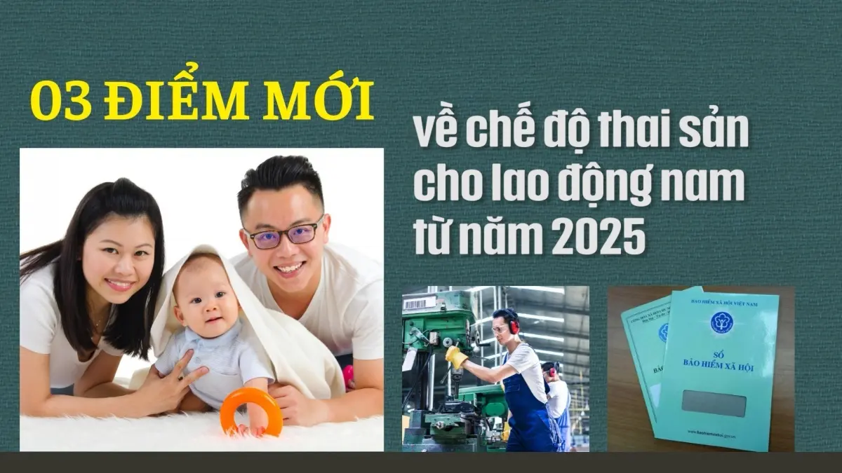 i4mzef_lao-dong-nam20241105040701.webp