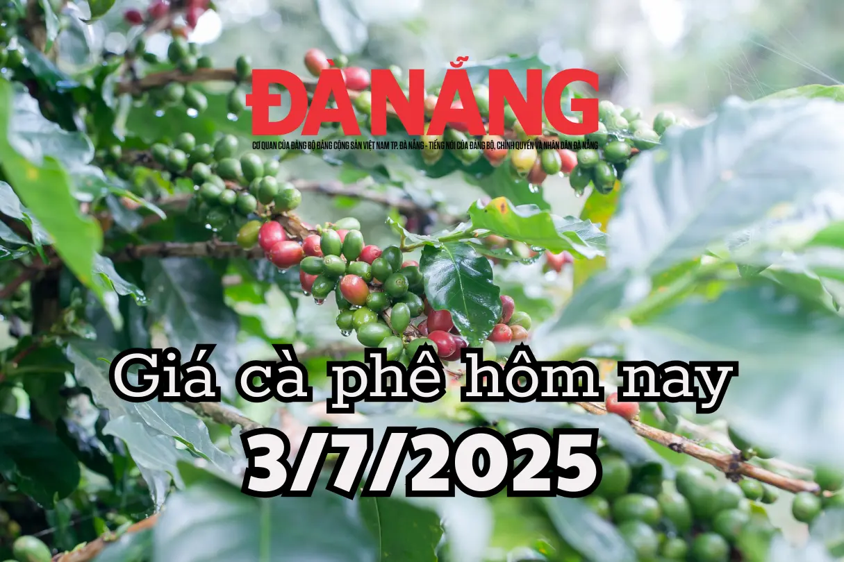 jhz8ht 4a78ddac9b7648afaa5c1fdd381c8538