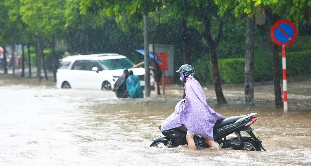 Ảnh hưởng của thiên tai đến sản xuất nông nghiệp