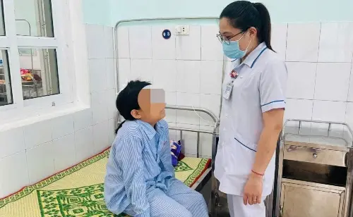 Khỉ đuôi lợn