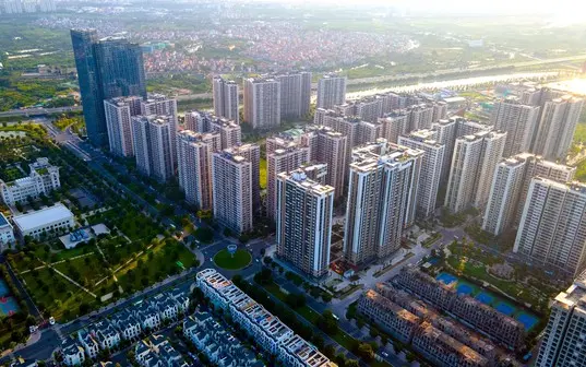 Mô tả ảnh 3