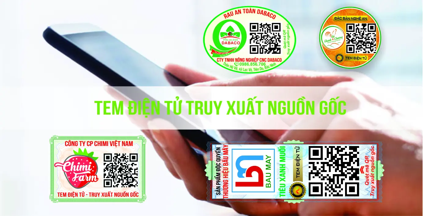 ksp9xy_QR-code-vcheck-viettel.webp