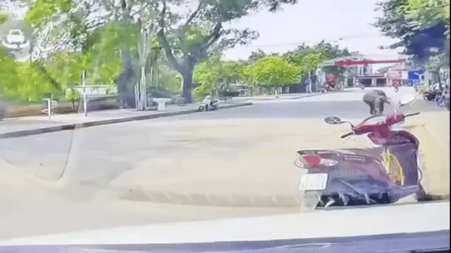 mn1dzb camera nha dan ghi lai canh trau dien huc nguoi phu nu di xe may 1752590676