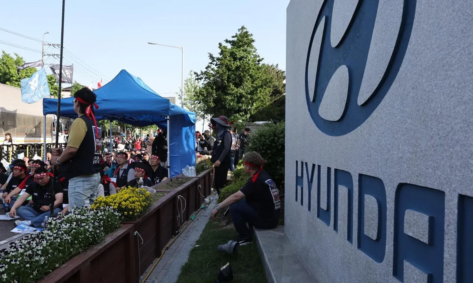 o4vyt9_thu-hoi-210525-170214.webp