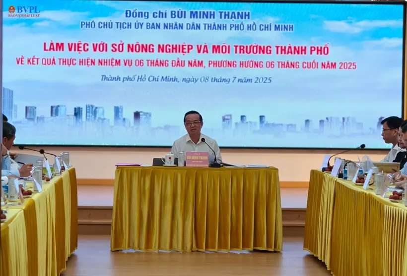 o8p8y6 ong thanh
