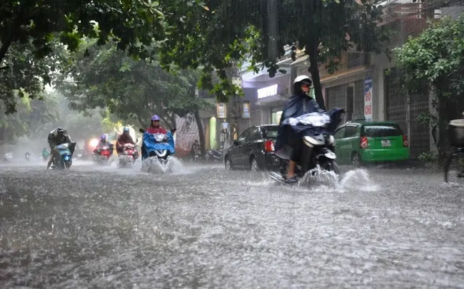 qoo26w_ha-noi-mua-dong-chieu-toi-1720521239392322033517-14-0-420-650-crop-1720521374476622676725.webp