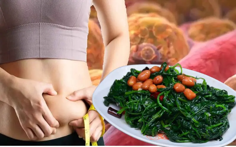 gel tái tạo khớp