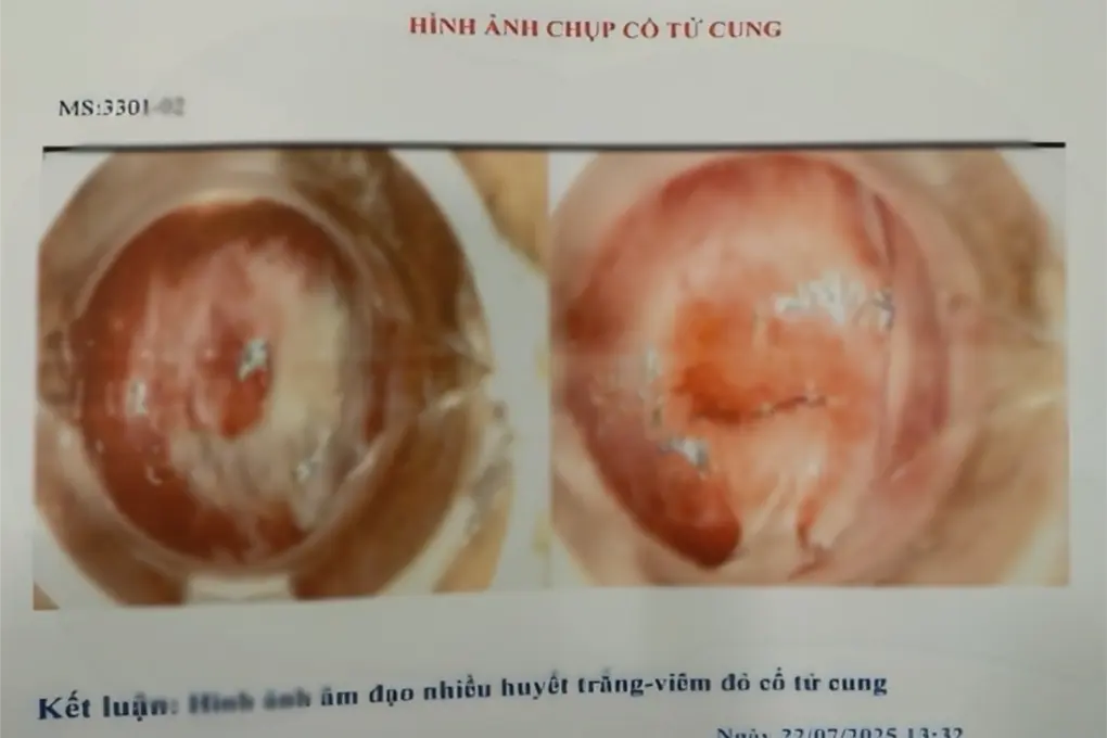 rpxvj4 phong kham ve benh 2png 1753372783935