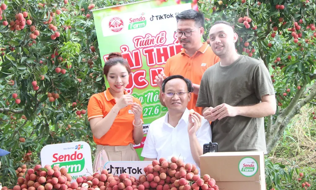 Phó Chủ tịch UBND tỉnh Bắc Ninh giới thiệu vải thiều