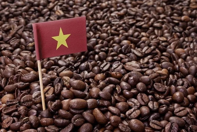Sản lượng cà phê Việt Nam