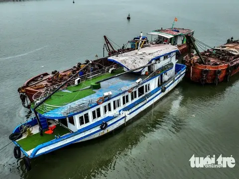 u3xp5c lat tau ha long nam tran 5 17529840001551732519229 175299252216763571671