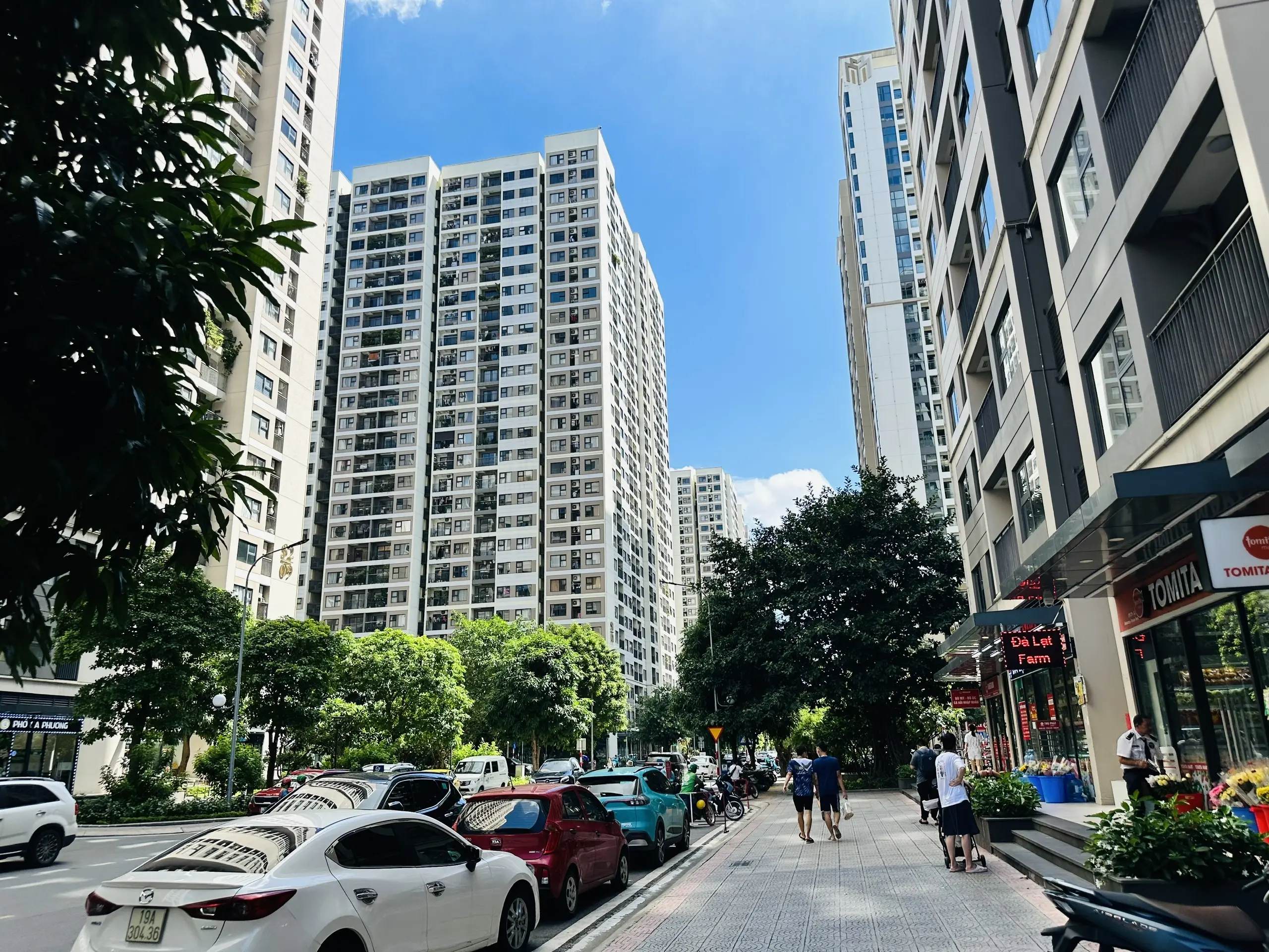 Mô tả ảnh 4