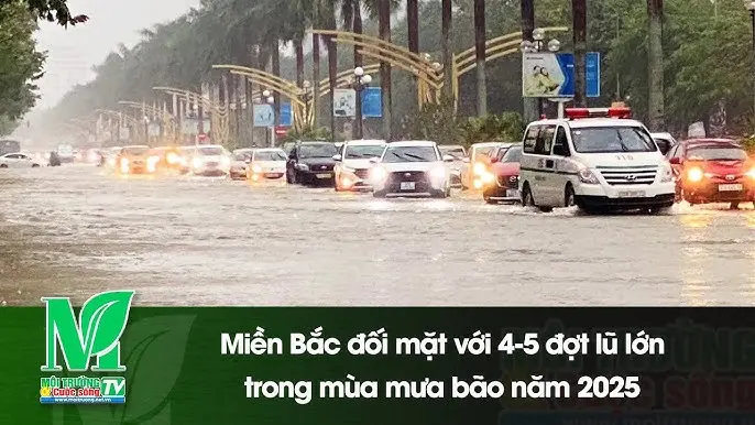Miền Bắc mưa dông
