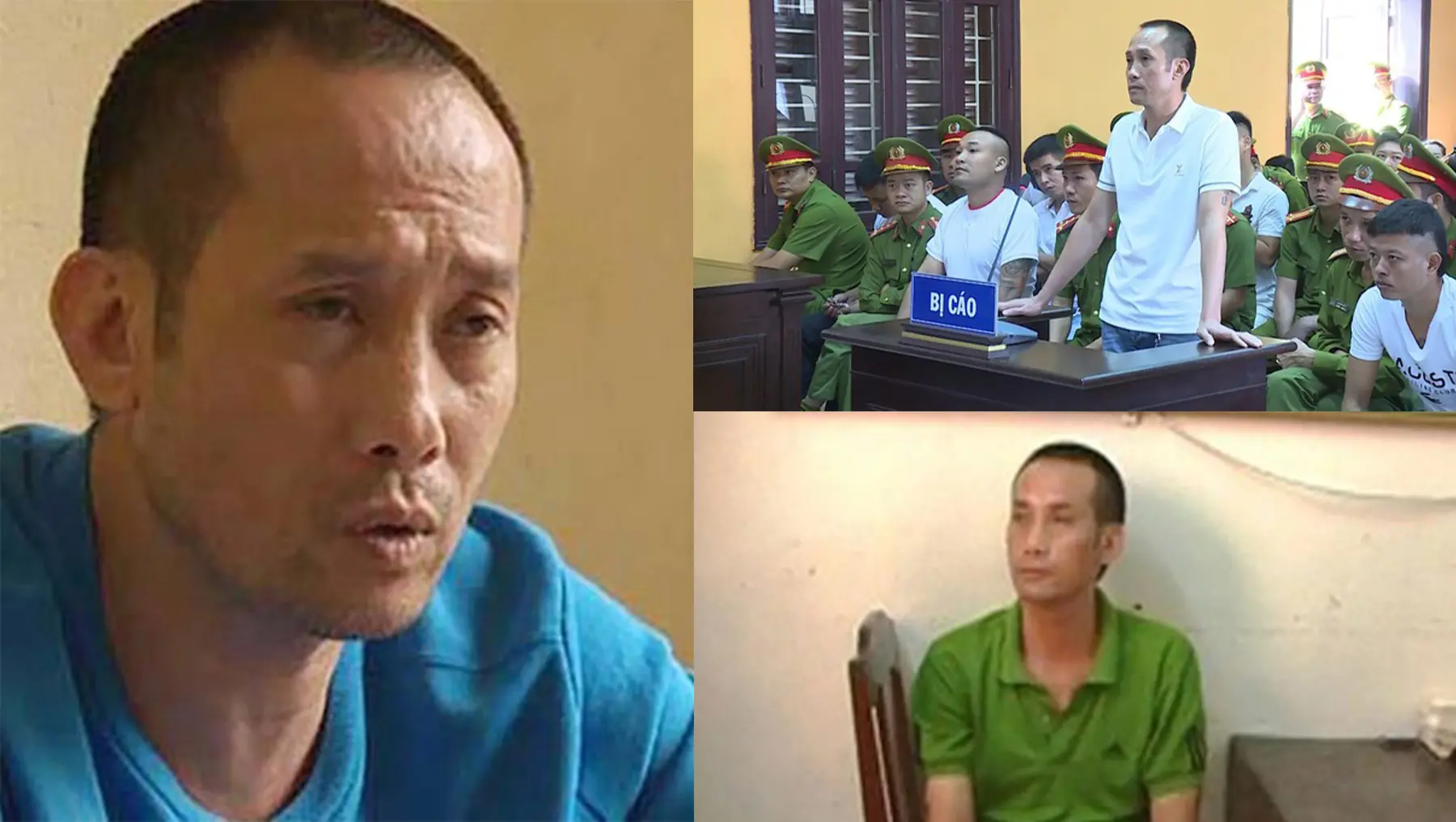 Vi Ngộ