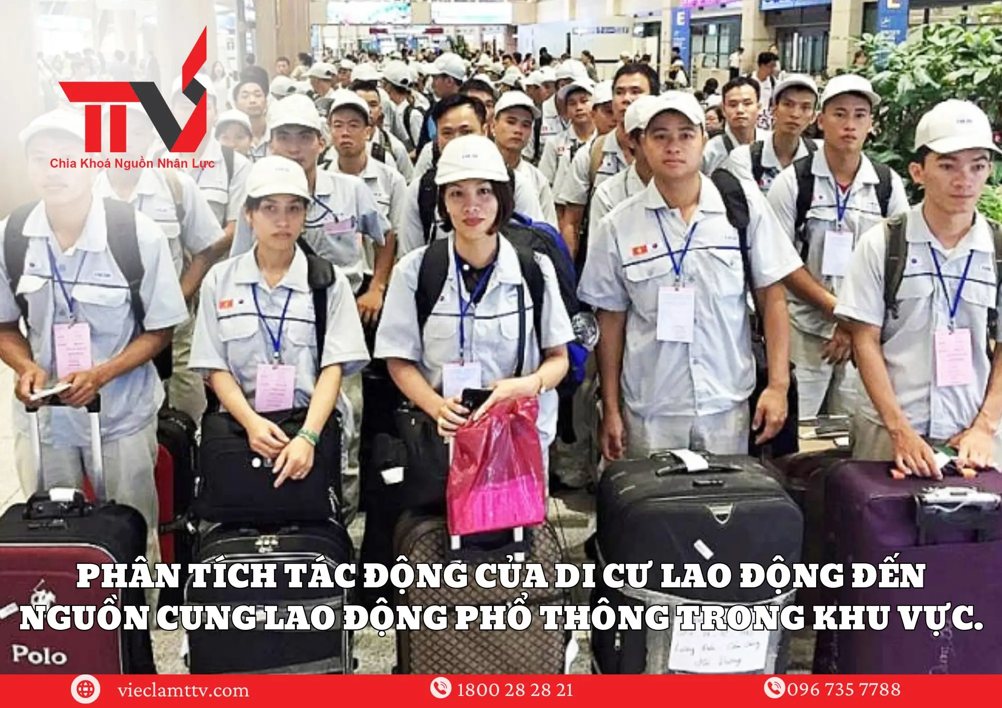 w5t6be Anh web TTV 1