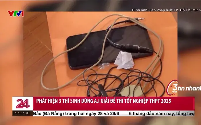 Pháp luật và xử lý